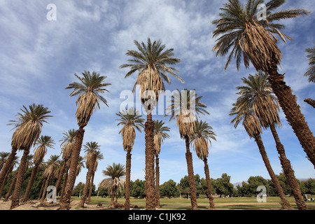 États-unis, Californie, Death Valley, Parc National, Furnace Creek Golf Course, Banque D'Images