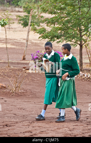 L'École de Karatu en Tanzanie Arusha Banque D'Images