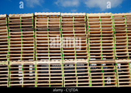 Palettes contre le ciel bleu Banque D'Images