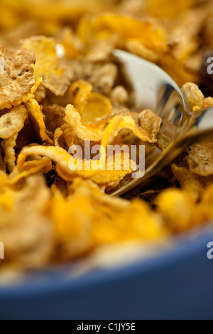 Close up image d'un bol bleu avec des céréales pour petit déjeuner et d'une cuillère en acier inoxydable. Banque D'Images