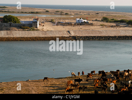 River Gomti d'anciens sanctuaires sur les banques répond à l'océan Indien où golden city original Dwarka du Seigneur Krishna était submergé. Banque D'Images