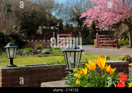 Beau jardin de campagne Anglais colorés au printemps de jolies fleurs Tulipes et fleurs sur l'arbre Banque D'Images