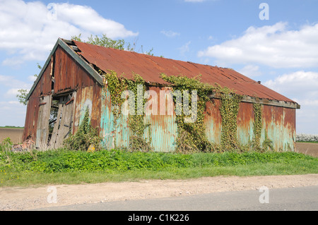 Une tôle ondulée versé sur la péninsule près de Hoo Cliffe, Kent, Angleterre Banque D'Images