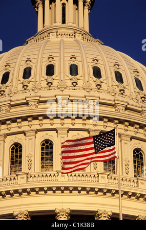 United States, Washington DC, US Capitol Banque D'Images