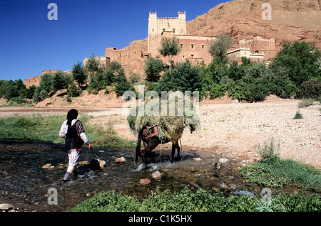 Maroc Haut Atlas l'Boutharar Kasbah de la vallée des Roses où la plupart des roses sont produites pour les français Banque D'Images