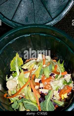 Seau en plastique de recyclage des déchets de cuisine se termine pelures de légumes garnitures pour le compostage Banque D'Images