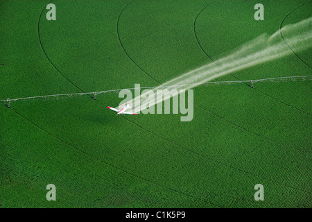 Vue aérienne d'une culture duster spraying a farm field Banque D'Images