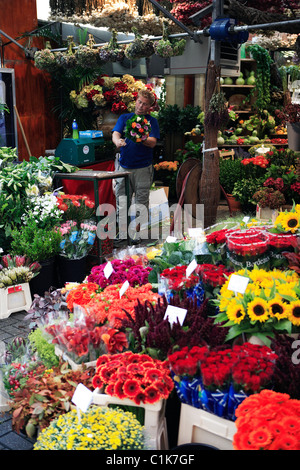 Pays-bas, Amsterdam, le marché aux fleurs Banque D'Images