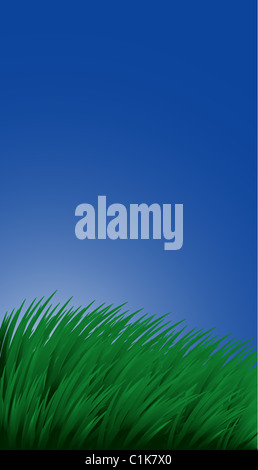 Contexte Avec l'herbe et le ciel Banque D'Images