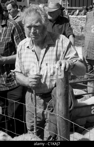 Vieux fermier à l'enchère à Priddy Moutons Foire sur le collines de Mendip dans Somerset Banque D'Images