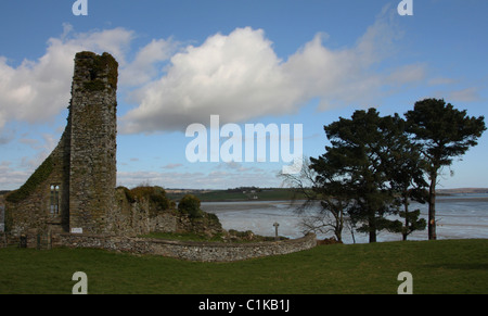 Ruines de l'abbaye de l'Irlande de Timoleague Banque D'Images