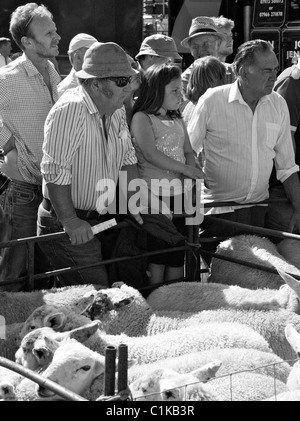 Les amateurs d'enchères à Priddy moutons foire sur le Mendip Hills Banque D'Images