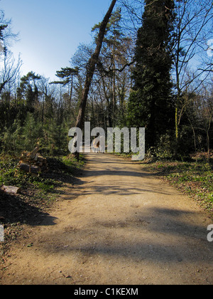 Paris, France, couple promenades dans le Parc, Bois de Vincennes, Bois au printemps, Parc urbain français, Paysage Banque D'Images