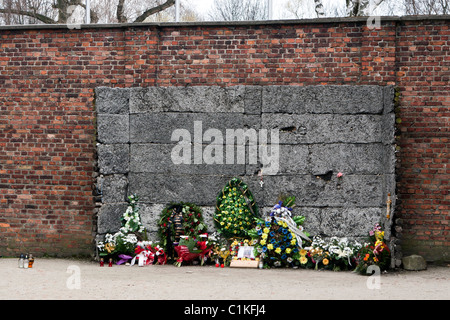 Mur d'exécution utilisé par les pelotons au camp de concentration d'Auschwitz-Birkenau, en Pologne. Banque D'Images