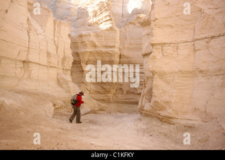 Israël, désert de Judée, un randonneur dans Wadi Pratzim, les crues éclair se tailler un profond canyon dans la roche sédimentaire calcaire mou Banque D'Images