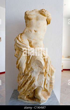 La Tunisie, Carthage, musée archéologique présentant des mosaïques, des sculptures et autres éléments de la fouilles de l'ancienne ville Banque D'Images