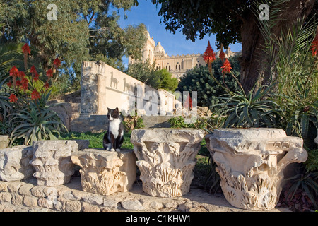 La Tunisie, Carthage, musée archéologique présentant des mosaïques, des sculptures et autres éléments de la fouilles de l'ancienne ville Banque D'Images