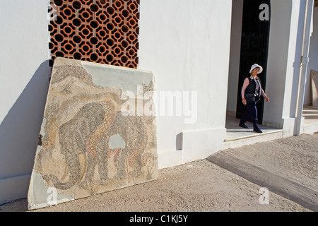 Tunisie Carthage musée archéologique présentant des sculptures mosaïques et d'autres éléments de la fouilles de l'ancienne ville Banque D'Images