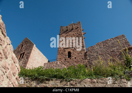 Allemagne, Franconia, Wertheim. Ruines du château du 12ème siècle Hohenburg Banque D'Images