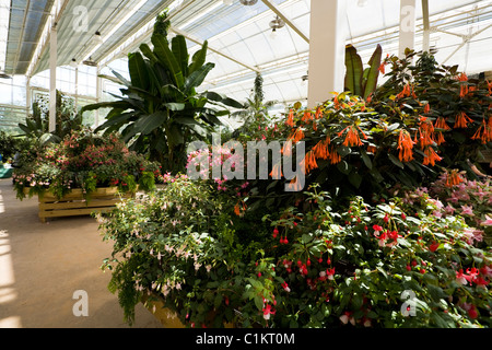 Intérieur / à l'intérieur de la Serre à RHS Wisley / siège à l'AC. Surrey. UK. (58) Banque D'Images