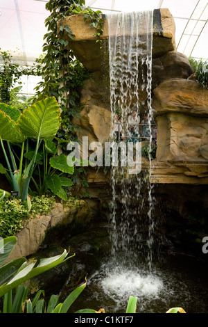 L'eau Cascade / chute dans la serre à RHS Wisley. Surrey. UK. Banque D'Images