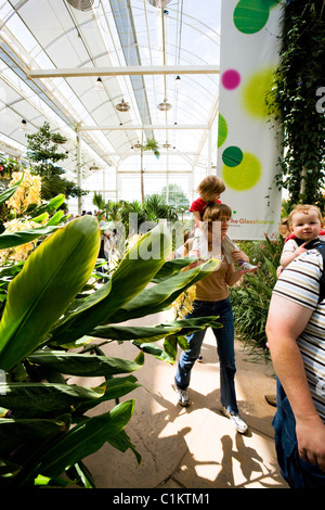 Famille / personne / l'homme à l'intérieur de la Serre à RHS Wisley. Surrey. UK. Banque D'Images