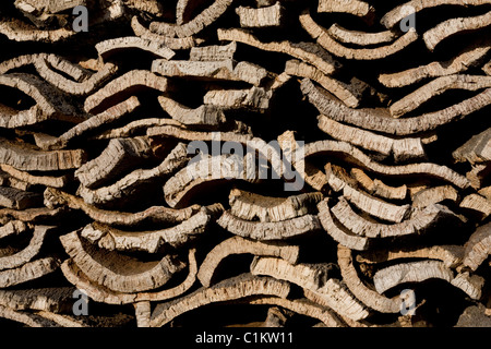 Pile de récolté de l'écorce de chêne-liège d'arbres. Banque D'Images