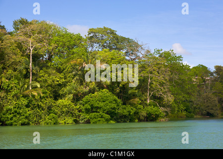 Lac Gatun, Panama Banque D'Images