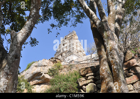 Seigneur Narasimha Swamy Temple Hindou, Melukote Banque D'Images