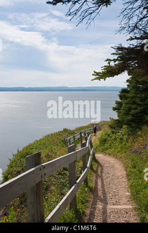 Québec, Canada. Randonnée dans le Parc national du Canada Forillon (parc national Forillon) Gaspé. Banque D'Images