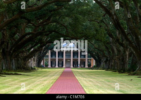 La plantation d'Oak Alley situé sur la rivière Mississippi dans la communauté de vacherie, Louisiane, Etats-Unis. Banque D'Images