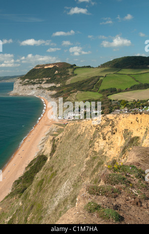 Seatown, près de Bridport, Dorset, UK. Vue ouest de Golden Cap, point le plus élevé de la Côte du Sud, Royaume-Uni. La crête de Falaise. Septembre. Banque D'Images