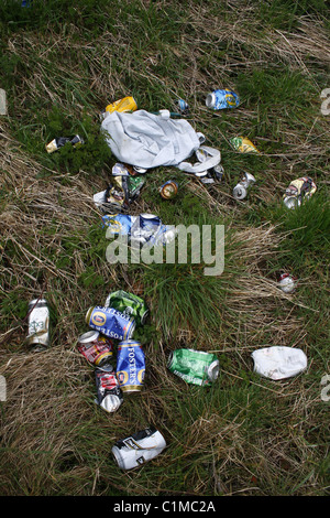 Des canettes de bière vide sur l'herbe Banque D'Images