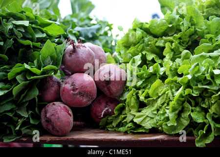 Vue d'un tas de racine de betterave fraîche et laitue légumes sur le marché. Banque D'Images
