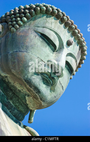 Portrait de Daibutsu (Grand Bouddha) de Kamakura, Japon Banque D'Images