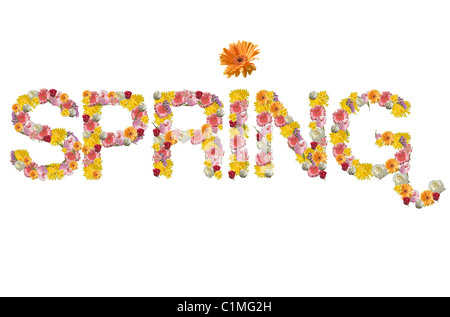 Le mot printemps écrit en lettres faites de fleurs Banque D'Images