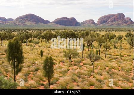 Les Olgas dans le Parc National d'Uluru-Kata Tjuta Banque D'Images