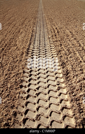 Sable plage vue de l'empreinte des pneus de tracteur nettoyage Caraïbes infinie Banque D'Images