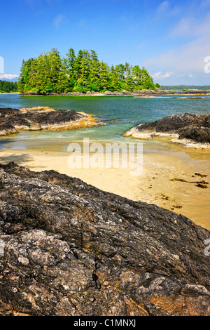 Vue du Long Beach dans le parc national Pacific Rim, Canada Banque D'Images