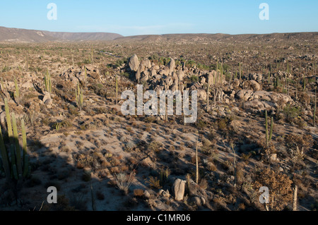 Paysages de désert de Sonora, Basse Californie, Mexique Banque D'Images