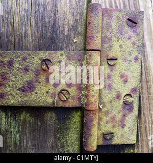 Close up d'une vieille charnière sur une porte. Banque D'Images