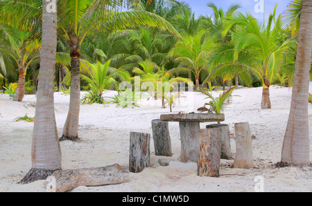 Palmiers de noix de coco Tulum beach avec table et sièges en ligne Banque D'Images