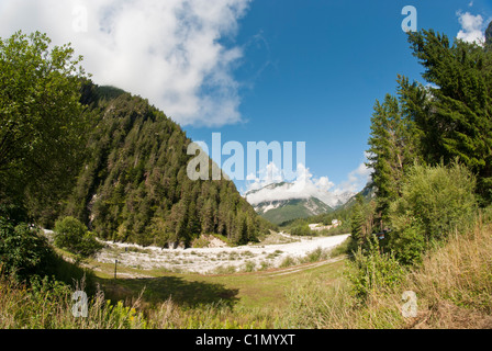 Couleurs du bois du nord de l'Italie Dolomites Banque D'Images