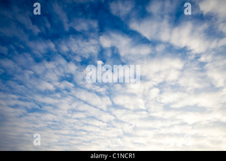 Fleecy nuages sur fond de ciel bleu Banque D'Images