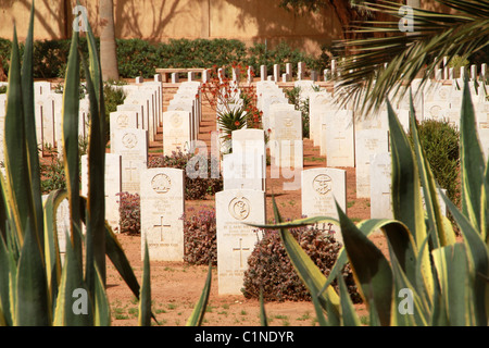 Le cimetière de guerre de Benghazi, Libye Banque D'Images