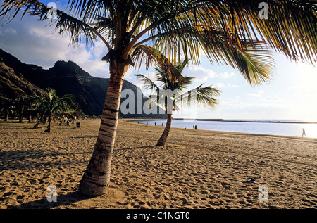 L'Espagne, Iles Canaries, Tenerife, Playa de Las Teresitas Banque D'Images