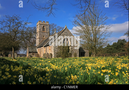 Une église au printemps avec un tapis de jonquilles Banque D'Images