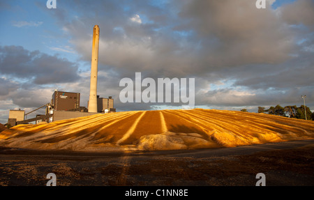 Centrale à combustion de tourbe produisant de l'électricité et de la chaleur . Utilise la tourbe , la sciure et les copeaux de bois comme combustible primaire. Inventaire de sciure à l'avant , Finlande Banque D'Images