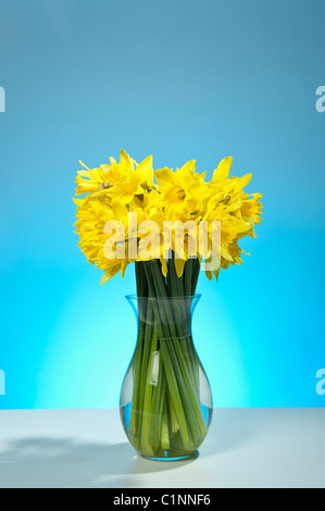Un bouquet de jonquilles printemps des fleurs dans un vase de verre contre un fond bleu ciel Banque D'Images