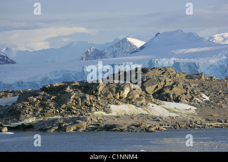 [Rocky] dans [l'Île Stonington Baie Marguerite], [Ouest] La Terre de Graham, en Antarctique Banque D'Images